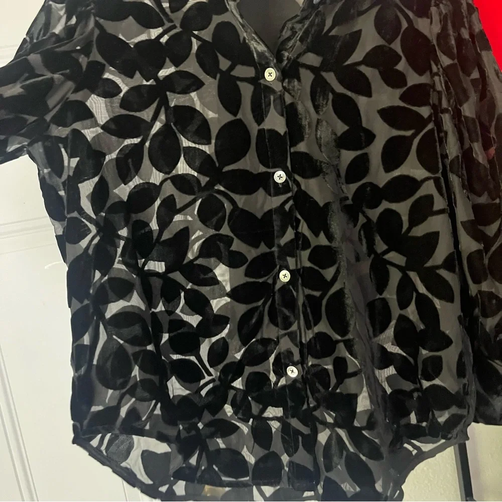 GRETCHEN SCOTT black sheer burn out velvet button up long sleeve shirt blouse - Picture 4 of 7